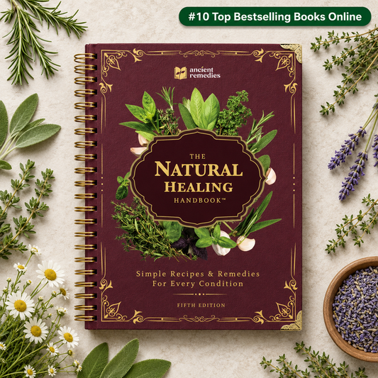The Natural Healing Handbook